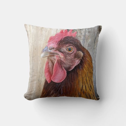 Red Chicken Hen Photo クッション (正面)