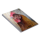 Red Chicken Hen Photo ノートブック (右側)