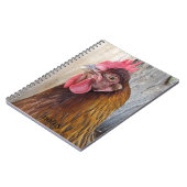 Red Chicken Hen Photo ノートブック (左側)