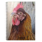 Red Chicken Hen Photo ノートブック (正面)