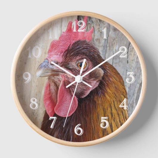 Red Chicken Hen Photo 壁時計 (正面)
