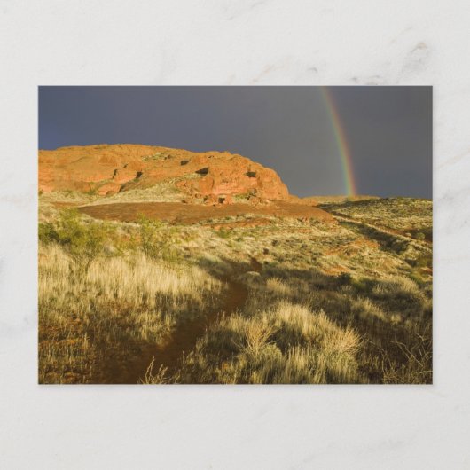 Red Cliffs Desert Preserve近くのシングルトラック ポストカード (正面)