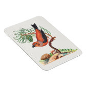 Red Crossbill bird, マグネット (右側)