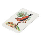 Red Crossbill bird, マグネット (左側)