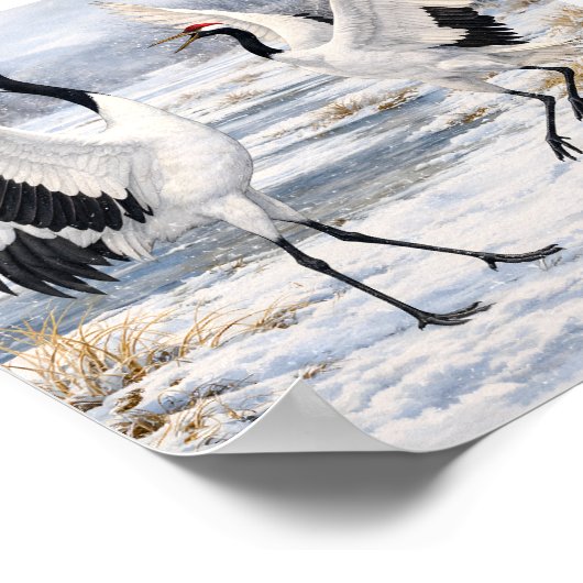 Red-crowned Cranes Dancing in Winter –  ポスター (角)