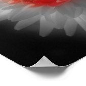 Red Dahlia Flower Partial Color ポスター (角)