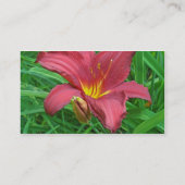 Red Daylily Coordining Items名刺 名刺 (裏面)