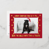 Red Deck the Holes With Toys & Treets 2写真 箔シーズンポストカード (正面/裏面)