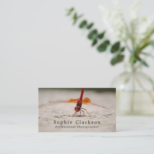 Red Dragonfly、写真家 名刺 (スタンド正面)