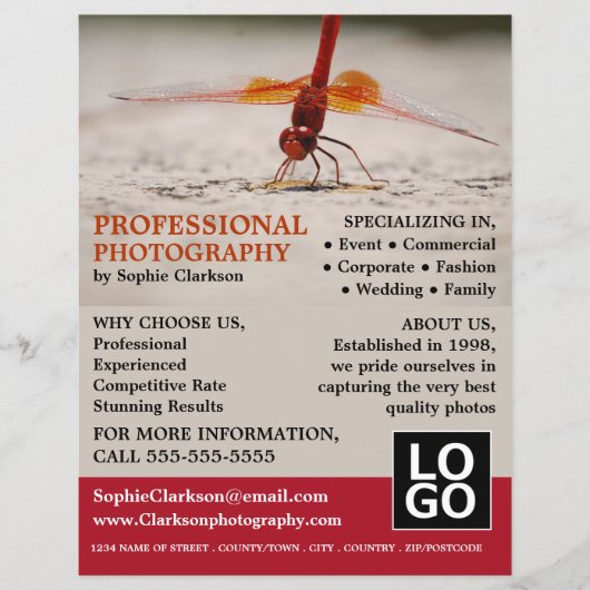 Red Dragonfly、写真、フォトグラファー採用 チラシ (正面)