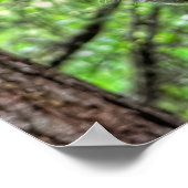 Red Dun Mare Horse in a Forest ウマ科の Photo ポスター (角)