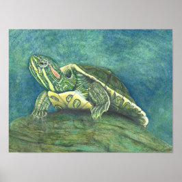 Red-Eared Slider Poster ポスター