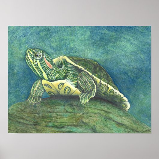 Red-Eared Slider Poster ポスター (正面)