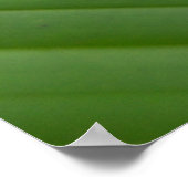 Red Eyed Green Tree Frog ポスター (角)