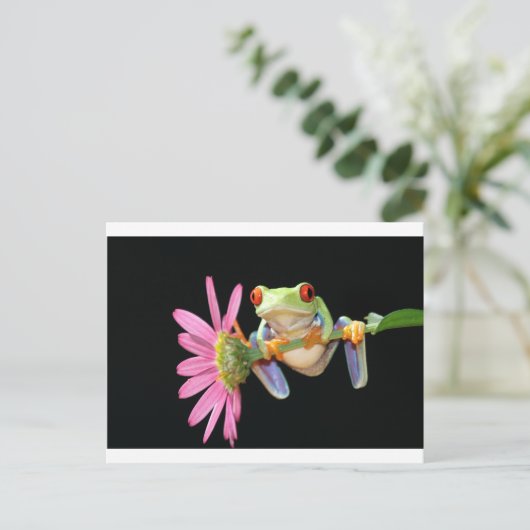red eyed tree frog ポストカード (スタンド正面)