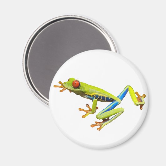 Red eyed tree frog マグネット (正面/裏面)
