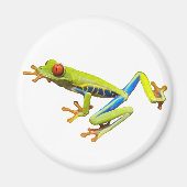 Red eyed tree frog マグネット (正面)