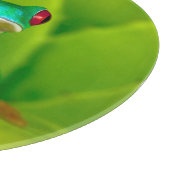 Red-eyed tree frog, Costa Rica カッティングボード (角)