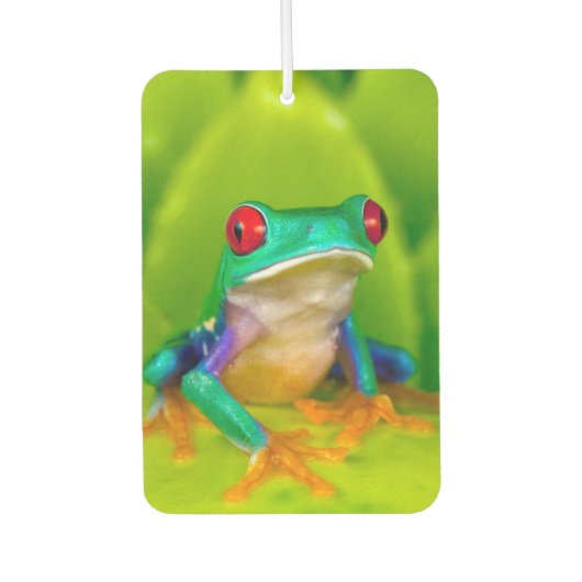 Red-eyed tree frog, Costa Rica カーエアーフレッシュナー (正面)