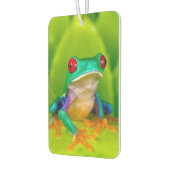 Red-eyed tree frog, Costa Rica カーエアーフレッシュナー (左)