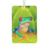 Red-eyed tree frog, Costa Rica カーエアーフレッシュナー (裏面)