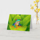 Red-eyed tree frog, Costa Rica カード (黄色い花)