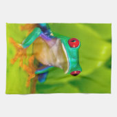 Red-eyed tree frog, Costa Rica キッチンタオル (横)