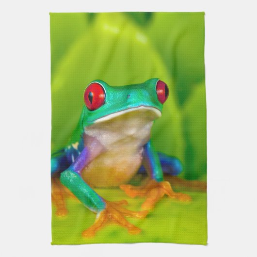 Red-eyed tree frog, Costa Rica キッチンタオル (縦)