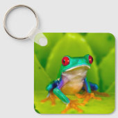 Red-eyed tree frog, Costa Rica キーホルダー (正面)