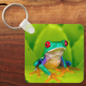 Red-eyed tree frog, Costa Rica キーホルダー (正面)