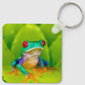 Red-eyed tree frog, Costa Rica キーホルダー (裏面)
