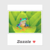 Red-eyed tree frog, Costa Rica シール (シート)