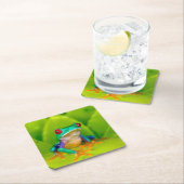 Red-eyed tree frog, Costa Rica スクエアペーパーコースター (インサイチュ)