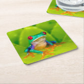 Red-eyed tree frog, Costa Rica スクエアペーパーコースター (アングル)