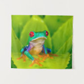 Red-eyed tree frog, Costa Rica タペストリー (正面(横))