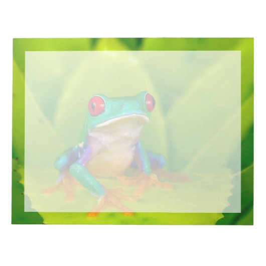 Red-eyed tree frog, Costa Rica ノートパッド (正面)