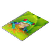 Red-eyed tree frog, Costa Rica ノートブック (左側)