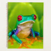 Red-eyed tree frog, Costa Rica プランナー手帳 (正面)