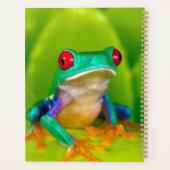 Red-eyed tree frog, Costa Rica プランナー手帳 (裏面)