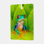 Red-eyed tree frog, Costa Rica メタルオーナメント (正面左)