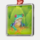 Red-eyed tree frog, Costa Rica メタルオーナメント (左)