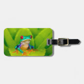 Red-eyed tree frog, Costa Rica ラゲッジタグ (正面横)