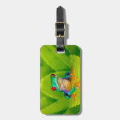 Red-eyed tree frog, Costa Rica ラゲッジタグ (正面縦)