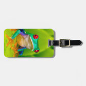 Red-eyed tree frog, Costa Rica ラゲッジタグ (正面横)