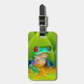 Red-eyed tree frog, Costa Rica ラゲッジタグ (正面縦)
