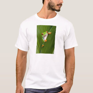 Red eyed tree frog tシャツ