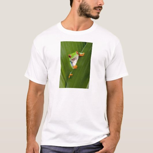 Red eyed tree frog tシャツ (正面)