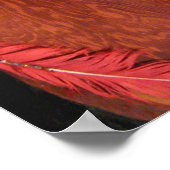Red Feather ポスター (角)