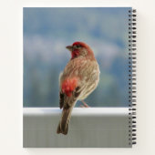Red Finchビューをチェックアウト中。 ノートブック (裏面)