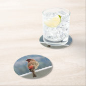 Red Finchビューをチェックアウト中。 ラウンドペーパーコースター (インサイチュ)